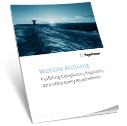 website archiving report